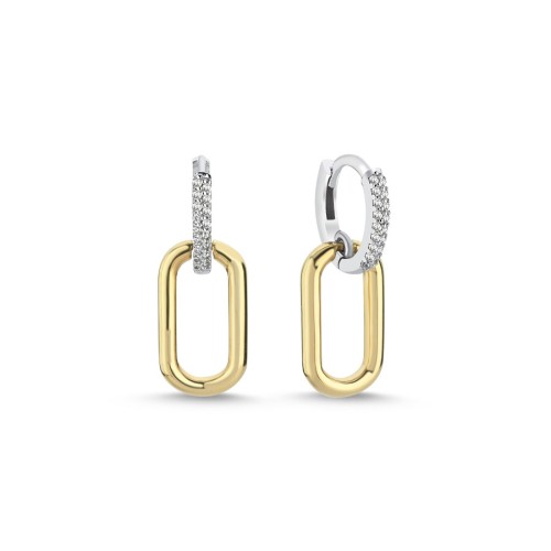 14 Ayar Altın Oval Frame Sallantılı Küpe - CNG Jewels