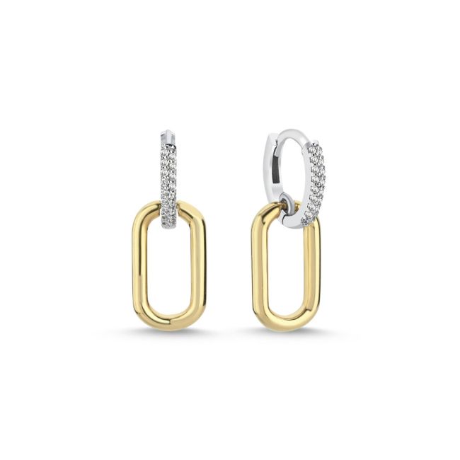 14 Ayar Altın Oval Frame Sallantılı Küpe - 1