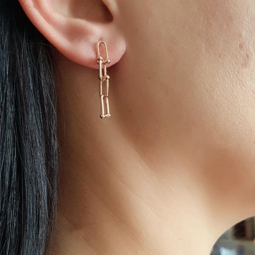 Ataş Halkalı Kalın Zincir Rose Gümüş Bayan Küpe - CNG Jewels (1)