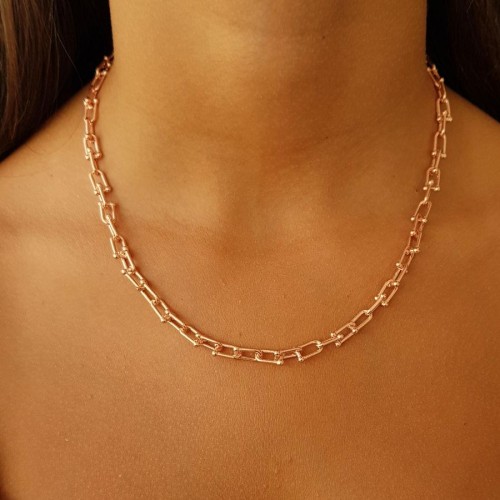 Ataş Halkalı Kalın Zincir Rosegold Gümüş Bayan Kolye - CNG Jewels