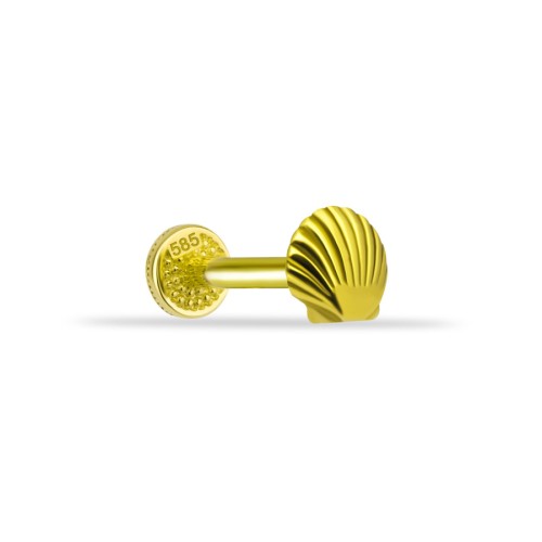 İstiridye Altın Tragus Piercing - CNG Jewels