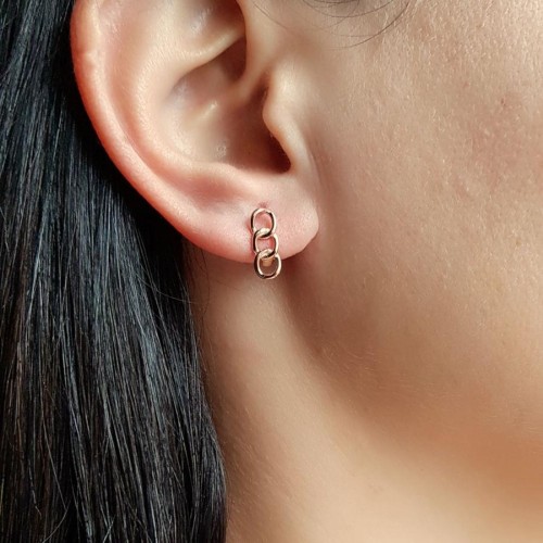 Küçük Gurmet Rose Kadın Gümüş Küpe - CNG Jewels