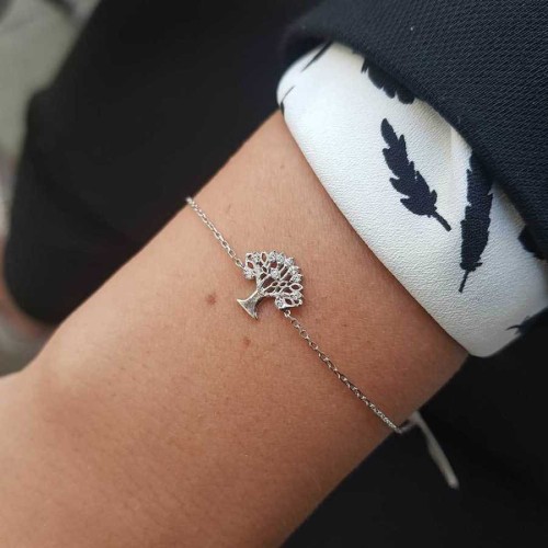 79.8978 - CNG Jewels
