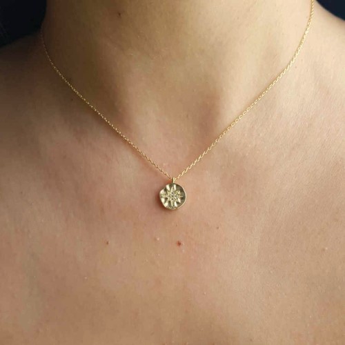 Kutup Yıldızlı Amorf Küçük Plaka Gümüş Kadın Kolye - CNG Jewels (1)