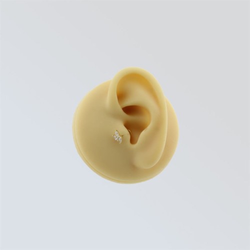 Markiz Taşlı Yaprak Altın Tragus Piercing - CNG Jewels (1)