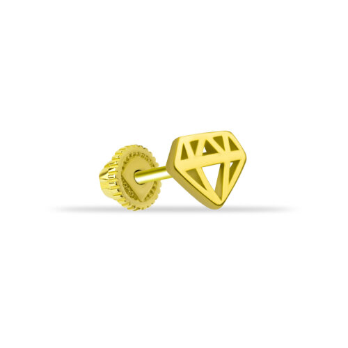 Pırlanta Desenli Altın Helix Piercing - CNG Jewels