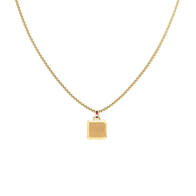 Tommy Hilfiger THJ2790544 Erkek Kolye - 1